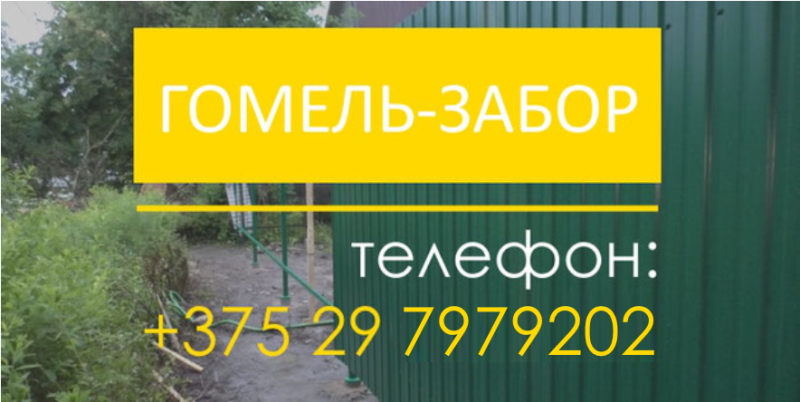 Заказать заборы из металлопрофиля в Гомеле можно по номеру 80297979202. 